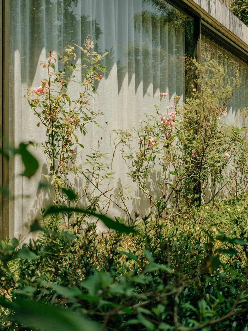 111 House 花池与立面