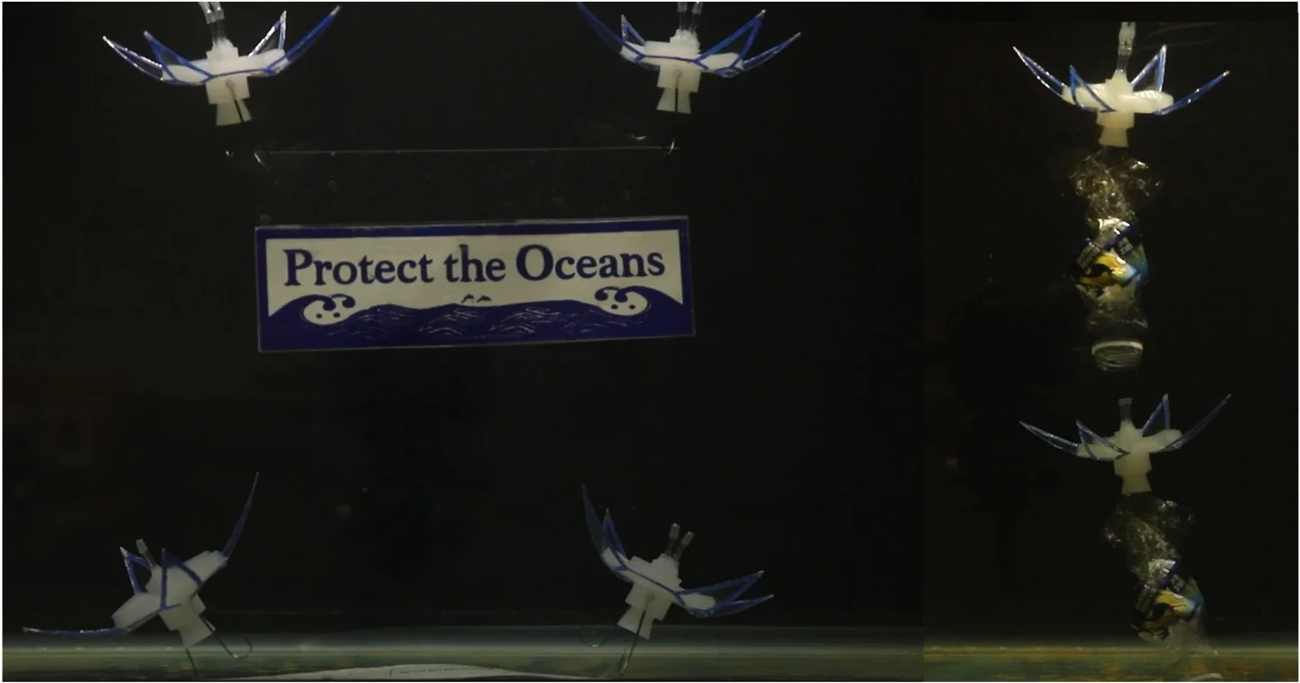 两台机器人举起保护海洋横幅