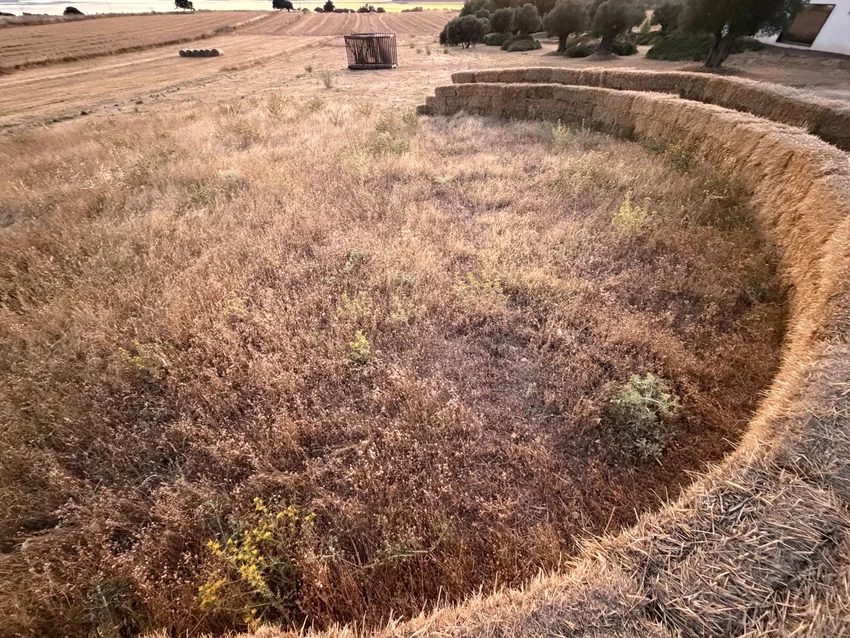 straw walls shape amphitheater, experimental garden and walking path in rural spain - 3
